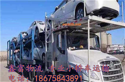 山東德州市 山東德州市